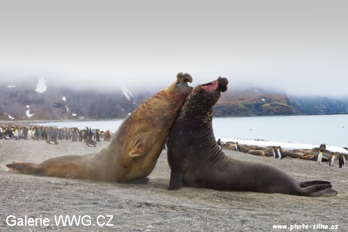 Foto: &copy; Václav Šilha - African Way