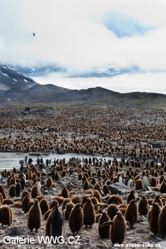 Foto: &copy; Václav Šilha - African Way