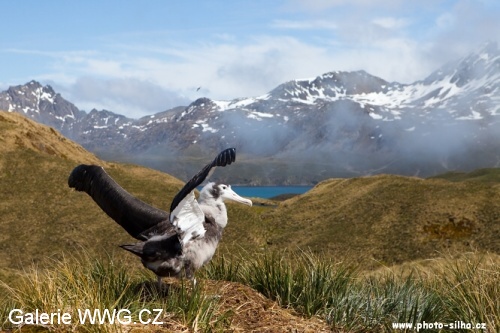 Foto: © Václav Šilha - African Way Foto: © Václav Šilha - African Way