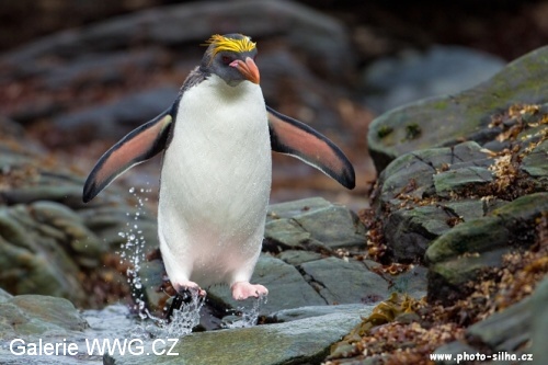 Foto: © Václav Šilha - African Way Foto: © Václav Šilha - African Way