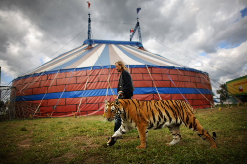 Foto: &copy; Zdeněk Dvořák, Mistr Week of Life