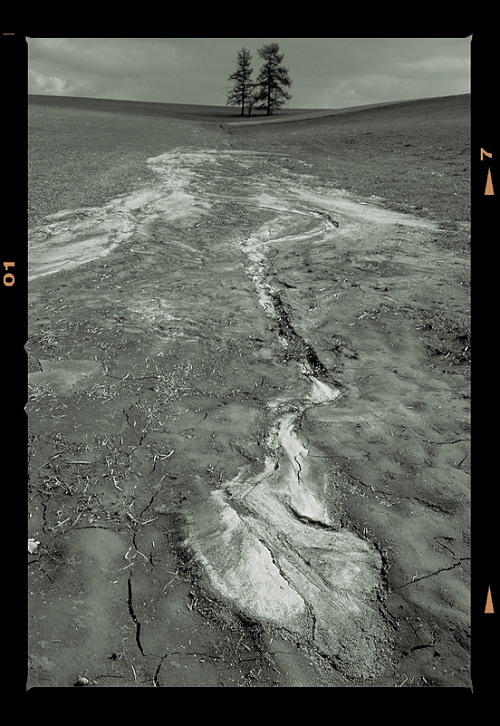 Foto: &copy; Stanislav Pokorný, Pole u Nového Města