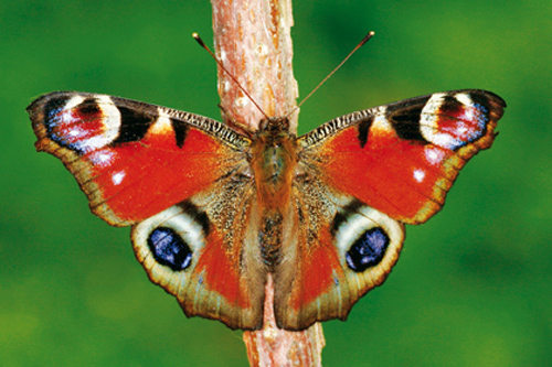 Foto: &copy; Veronika Souralová