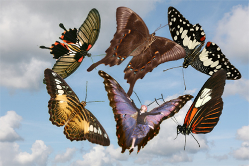 Foto: &copy; Veronika Souralová