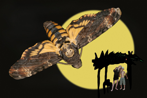 Foto: &copy; Veronika Souralová