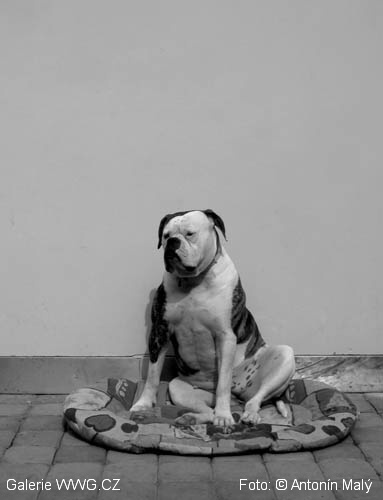 Foto: &copy; Antonín Malý