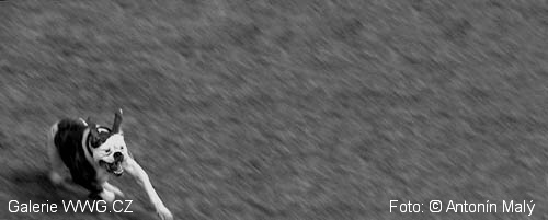 Foto: &copy; Antonín Malý