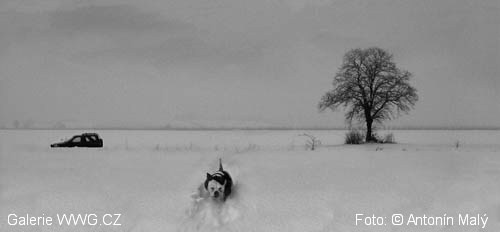 Foto: &copy; Antonín Malý