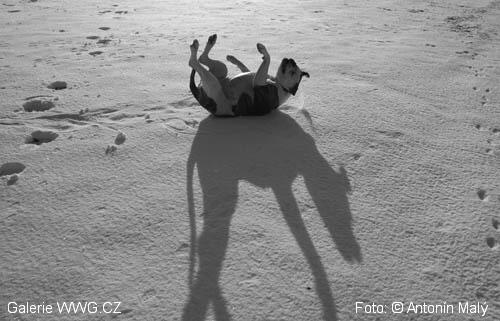 Foto: &copy; Antonín Malý