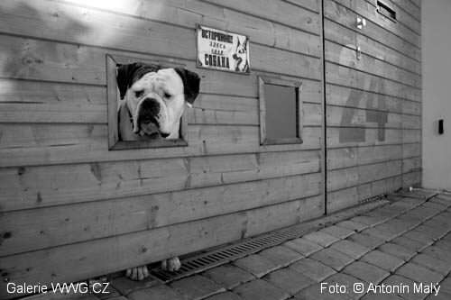 Foto: &copy; Antonín Malý