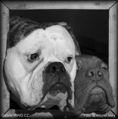 Foto: &copy; Antonín Malý