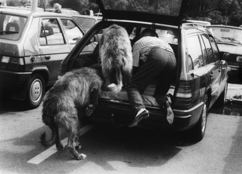 Foto: &copy; František Dostál