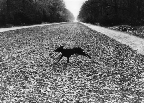 Foto: &copy; František Dostál