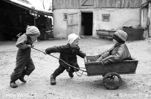 Foto: © Antonín Bína Foto: © Antonín Bína