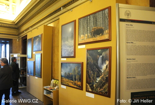 Václav Šilha, Rostislav Stach - Divočina v obrazech Václav Šilha, Rostislav Stach - Divočina v obrazech