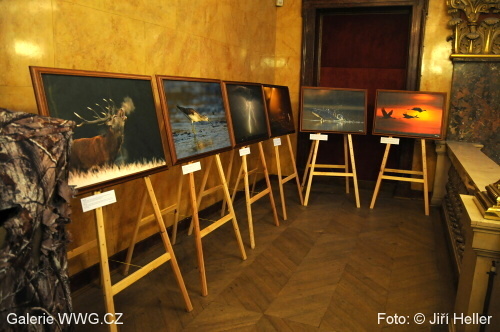 Václav Šilha, Rostislav Stach - Divočina v obrazech Václav Šilha, Rostislav Stach - Divočina v obrazech