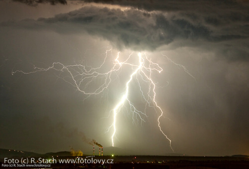 Divočina v obrazech - foto: &copy; Rostislav Stach, Fotolovy.cz