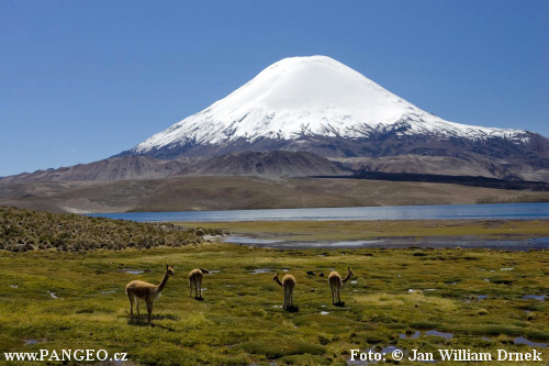PANGEO TOURS - Foto: &copy; Jan William Drnek - NP Lauca, Chile