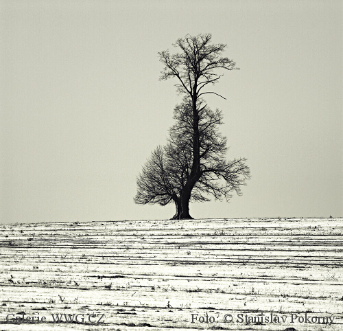 Foto: &copy; Stanislav Pokorný - člen Asociace profesionálních fotografů ČR