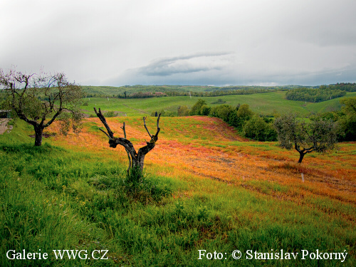 Foto: &copy; Stanislav Pokorný - člen Asociace profesionálních fotografů ČR