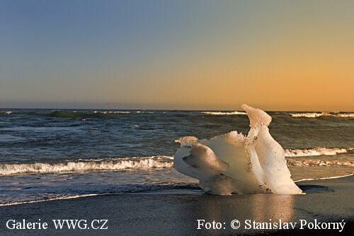 Foto: &copy; Stanislav Pokorný - člen Asociace profesionálních fotografů ČR
