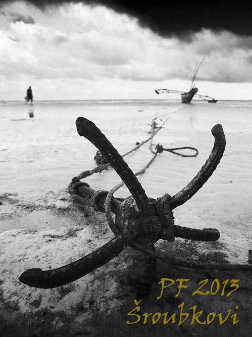 PF 2013 - &copy; Jan Šroubek