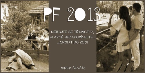 PF 2013 - &copy; Michal Ševčík