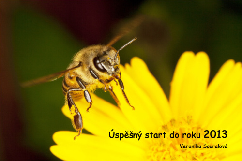 Foto: &copy; Veronika Souralová