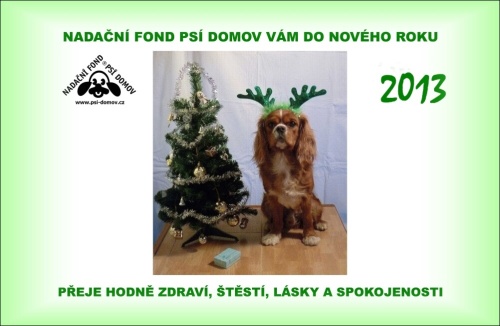 Foto: &copy; Psí domov