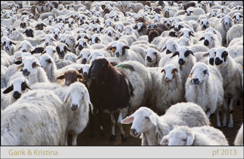 Foto: &copy; Garik Avanesian