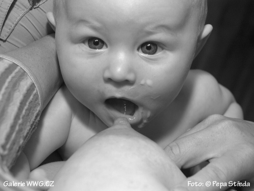 Co pijí čeští fotografové - Foto: &copy; Pepa Středa