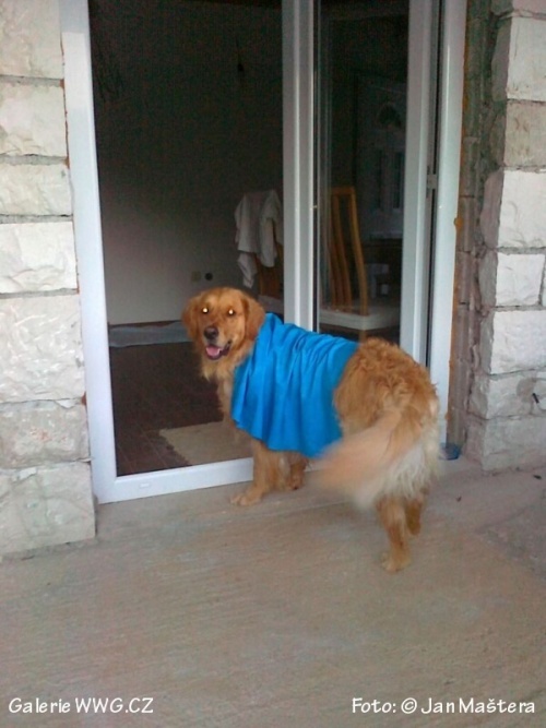 Foto: © Jan Maštera Foto: © Jan Maštera