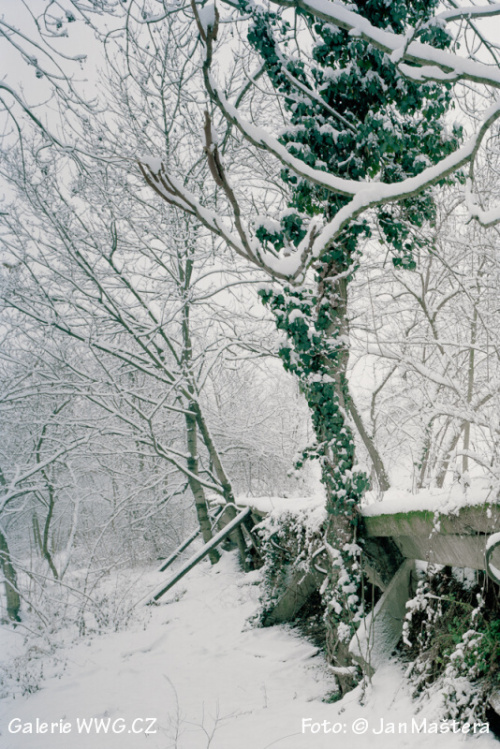 Foto: © Jan Maštera Foto: © Jan Maštera
