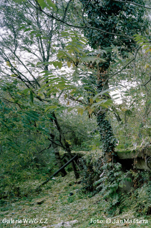 Foto: © Jan Maštera Foto: © Jan Maštera