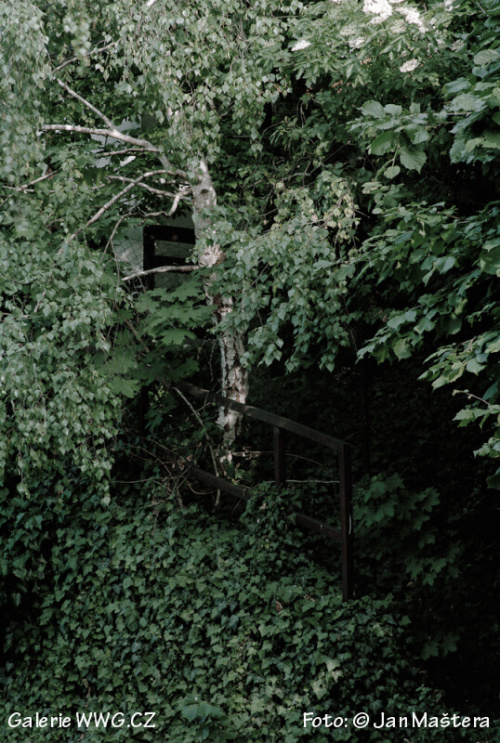 Foto: © Jan Maštera Foto: © Jan Maštera