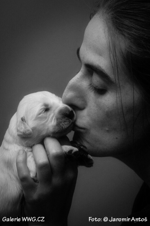 Foto: © Jaromír Antoš Foto: © Jaromír Antoš