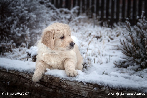 Foto: © Jaromír Antoš Foto: © Jaromír Antoš