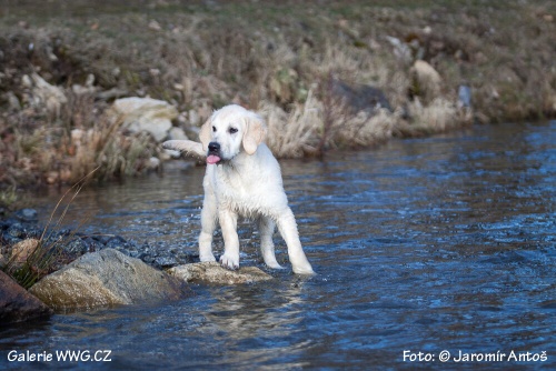 Foto: © Jaromír Antoš Foto: © Jaromír Antoš
