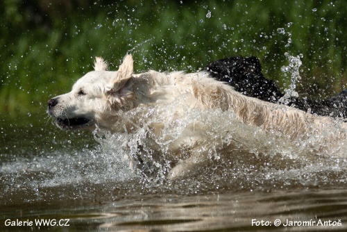 Foto: © Jaromír Antoš Foto: © Jaromír Antoš