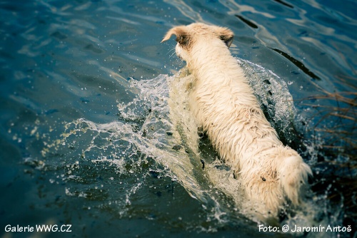 Foto: © Jaromír Antoš Foto: © Jaromír Antoš