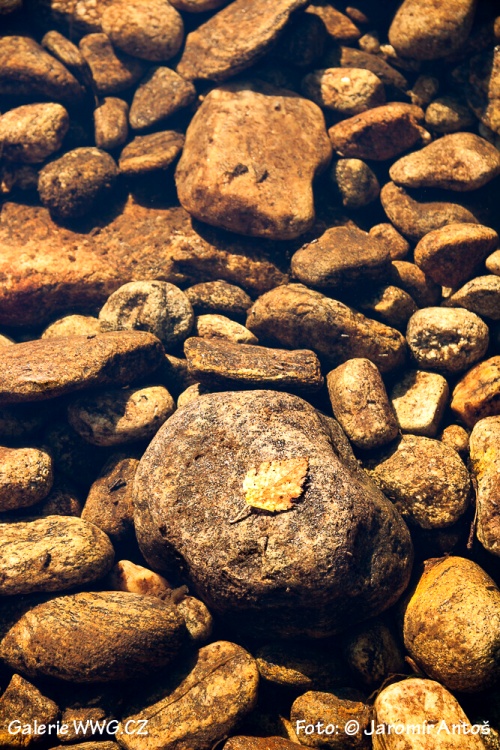 Foto: © Jaromír Antoš Foto: © Jaromír Antoš