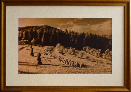 Foto: &copy; Yaro Kupčo