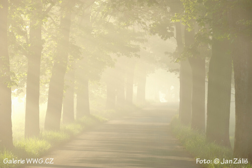 Foto: &copy; Jan Záliš