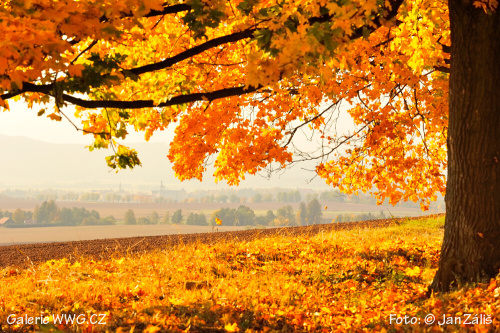 Foto: &copy; Jan Záliš