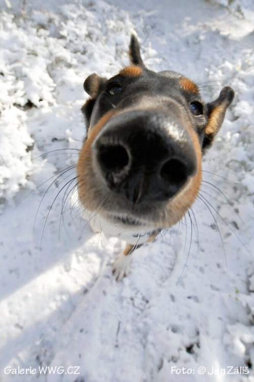 Foto: &copy; Jan Záliš