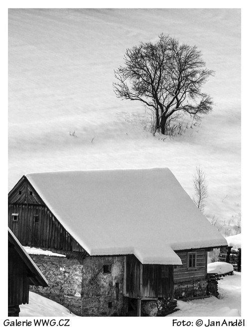 Foto: Jan Anděl Foto: Jan Anděl