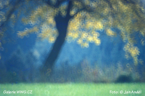 Foto: Jan Anděl Foto: Jan Anděl