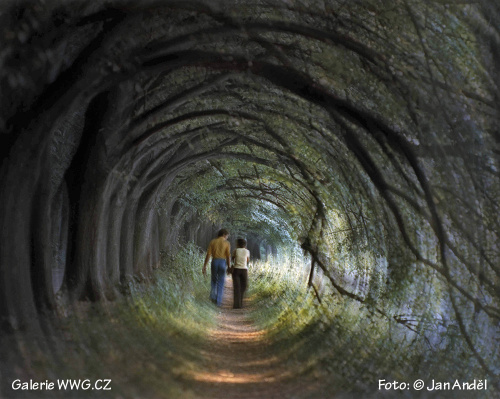 Foto: © Jan Anděl Foto: © Jan Anděl