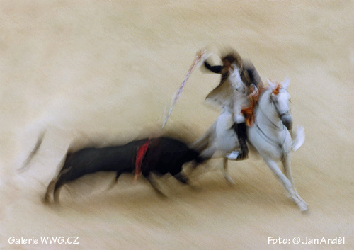 Foto: © Jan Anděl Foto: © Jan Anděl