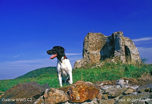 Foto: © Jan Anděl Foto: © Jan Anděl